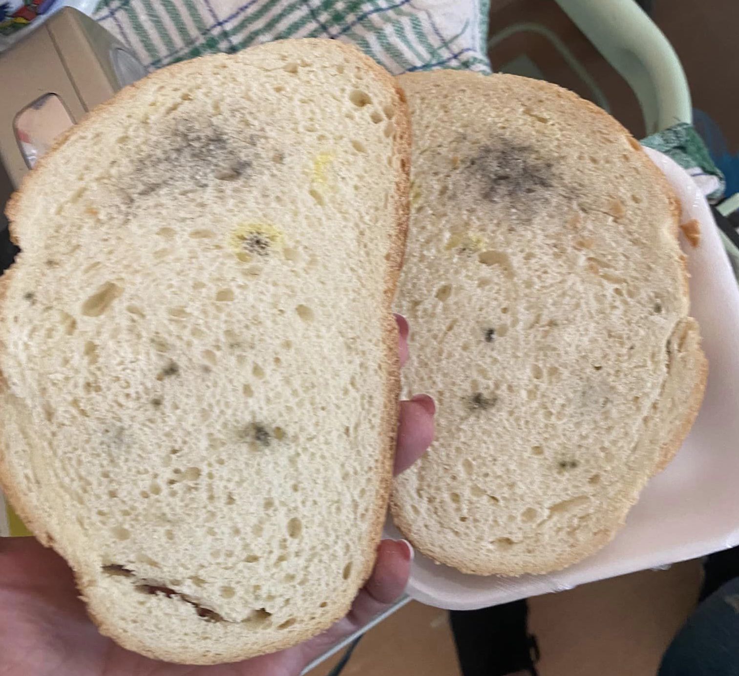 Penészes kenyér, romlott felvágott a Szent János Kórház gasztroenterológiai osztályán