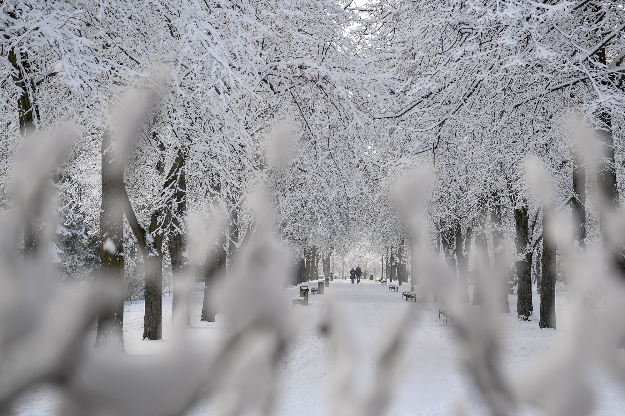 Megbénítja a közlekedést a havazás Románia keleti részén