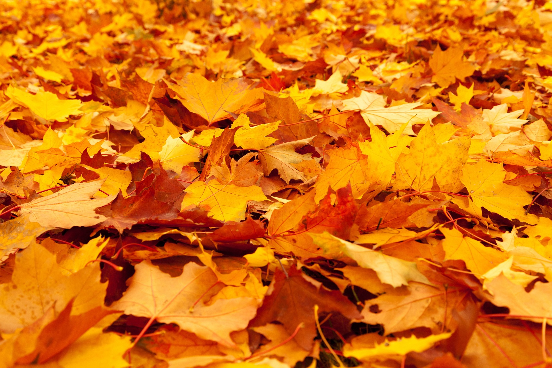 Klasszikus őszi idő lesz október 23-án