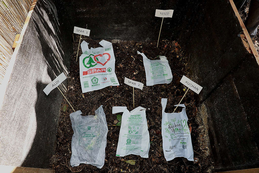 Akcióban a Greenpeace és a Humusz, lebomló zacskókat komposztálnak