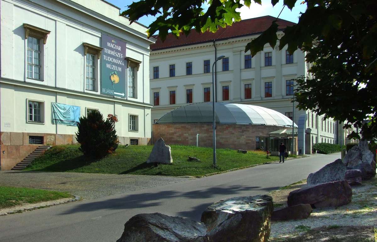Debreceni kutatók: „Nem támogatjuk a Természettudományi Múzeum elköltöztetését Budapestről”