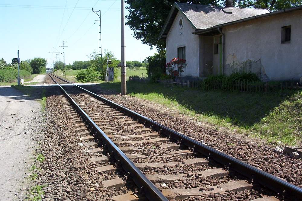 Már elkezdődött a Budapest-Belgrád vasútvonal építési engedélyezési eljárása