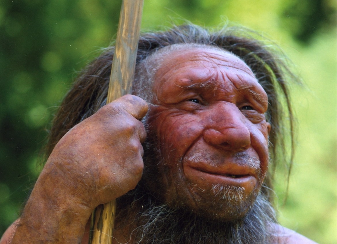 Nem tettek jót a mágneses pólusok a neandervölgyiekkel