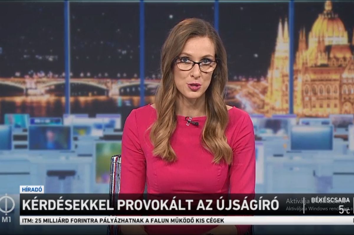 A közmédia arról készített riportot, hogy „provokáció”, hogy kérdéseket tett fel egy újságíró a Fidesz EP-képviselőinek