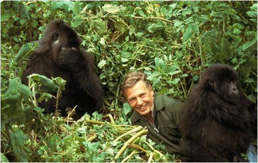 Felfrissítették David Attenborough egyik legismertebb munkáját