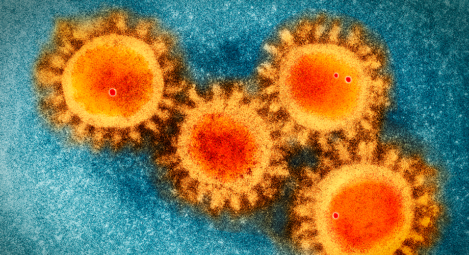 Először jelentek meg új módon a koronavírus-adatok