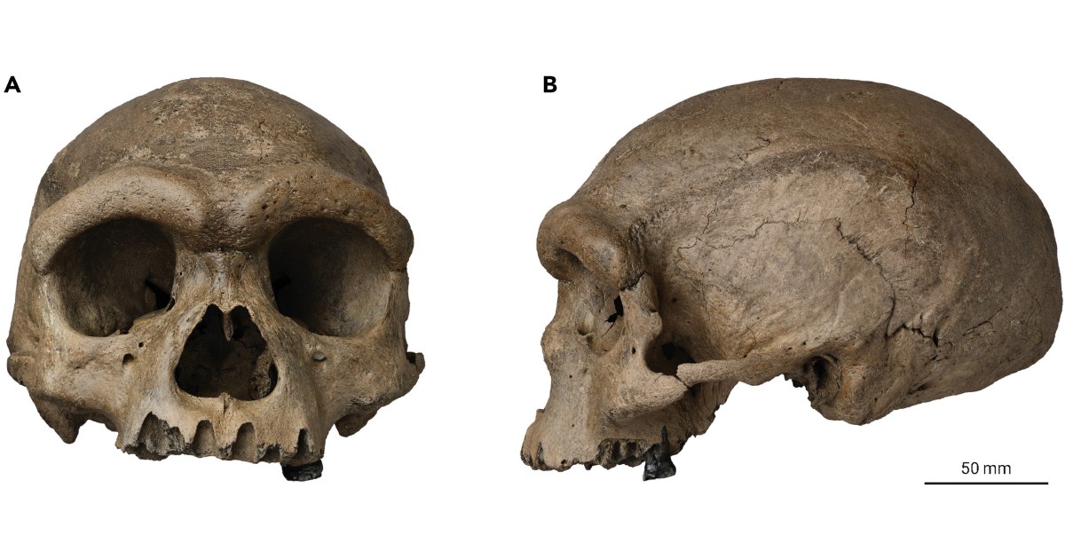 Egy eddig ismeretlen, új emberfajé lehet a Kínában talált 146 ezer éves emberi koponya